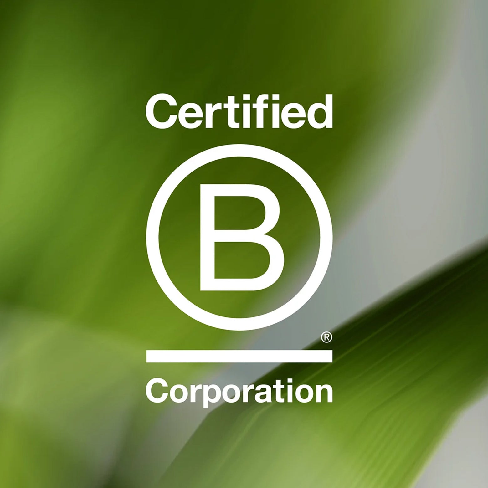 Nose / Ear Trimmer™